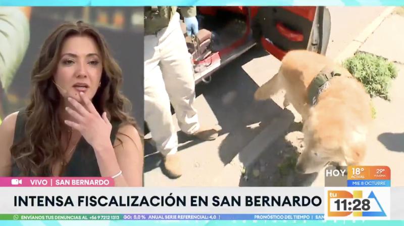 Flipper, el perro policial que se retira tras ocho años de servicio.