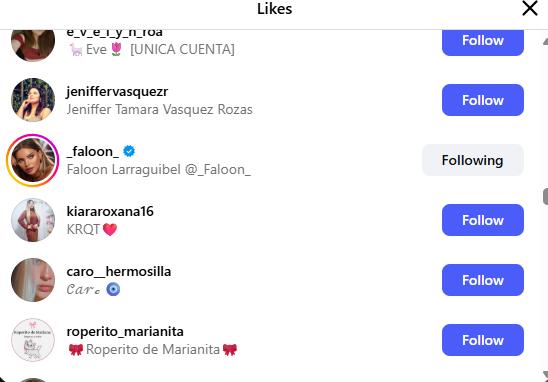 Faloon Larraguibel da Me Gusta a comenatrio de su suega | Instagram