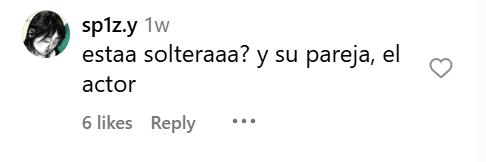 Comentarios sobre la relación entre los actores | Instagram