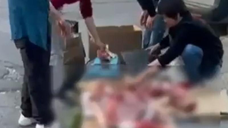 Equipo de "Tu Día" informa sobre ciudadanos chinos que faenan animales en vía pública