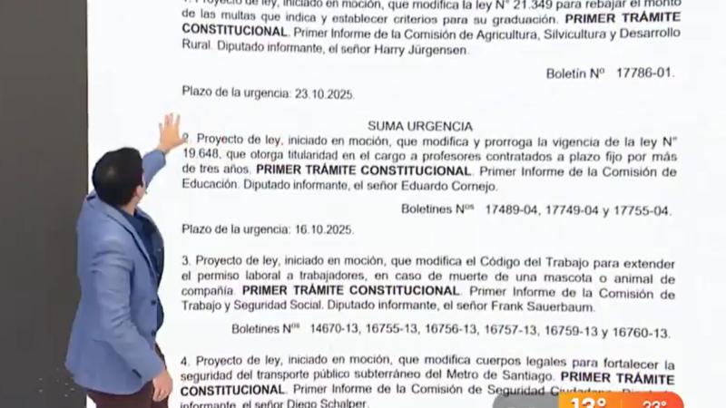 Lista de los proyectos que no legislaron los diputados