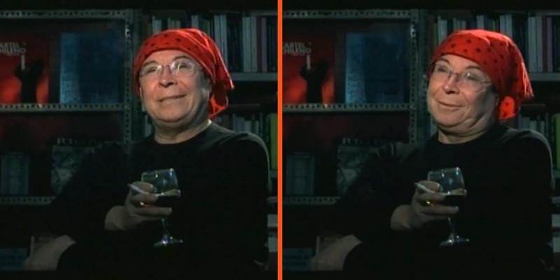 Pedro Lemebel en Canal 13.