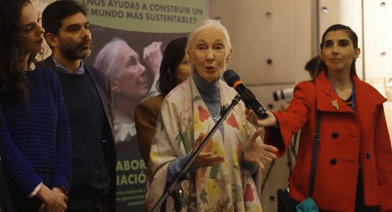 Jane Goodall en Chile. Créditos: 13C