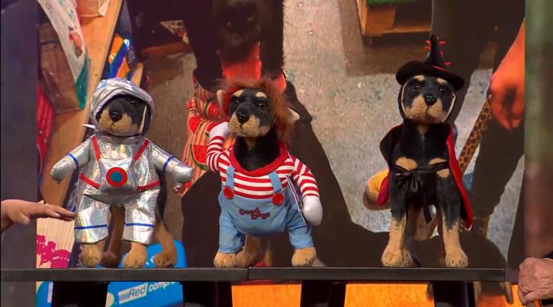 Persentina Pets: De todo en accesorios y alimentación para tu mascota.