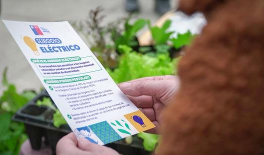 Subsidio Eléctrico - Ministerio de Energía