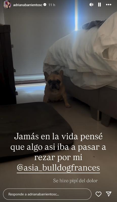 Historia de Adriana Barrientos | Instagram