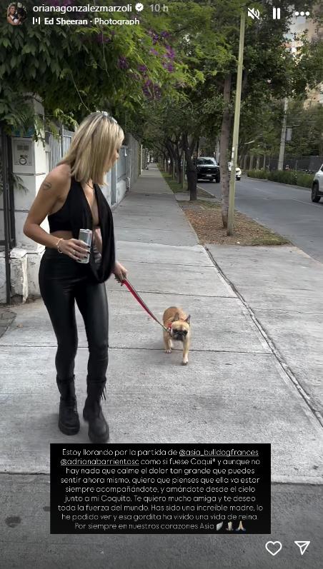 Oriana Marzoli con el perro de Adriana Barrientos | Instagram