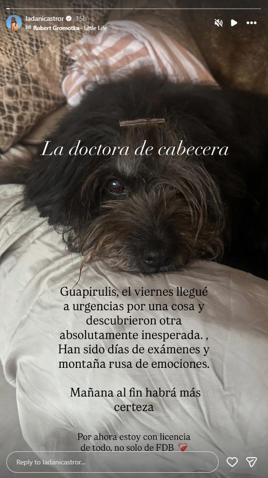 Delicado estado de salud de Daniela Castro | Instagram