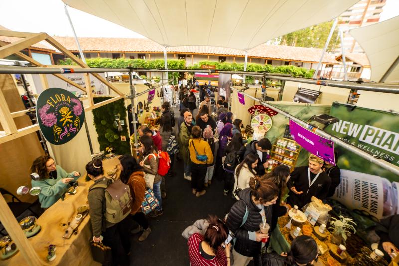 Ladera Sur 2025 Ecosistema.