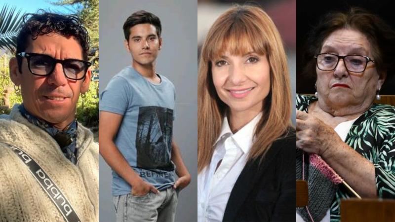 Los famosos que no lograron llegar al Parlamento | Instagram