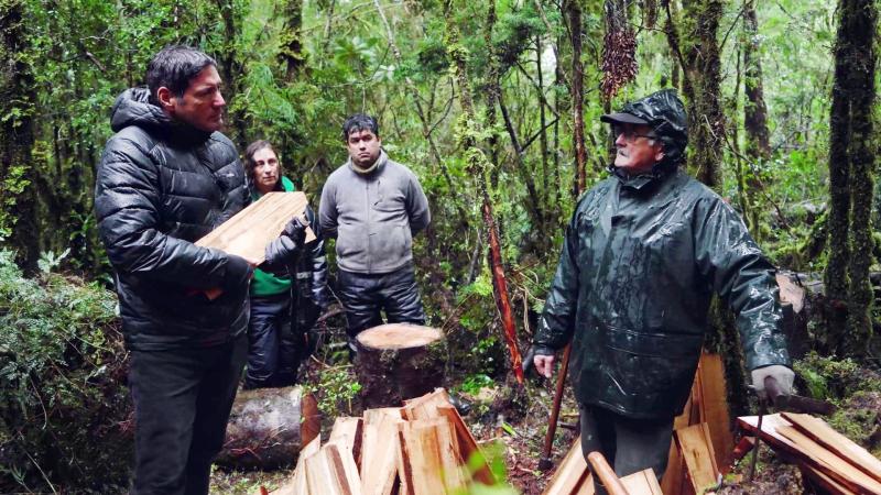 Pancho Saavedra vivirá la Fiesta del Cristo Nazareno de Caguach