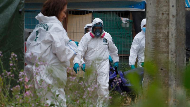 Hallazgo en San Vicente de Tagua Tagua - Créditos: ATON