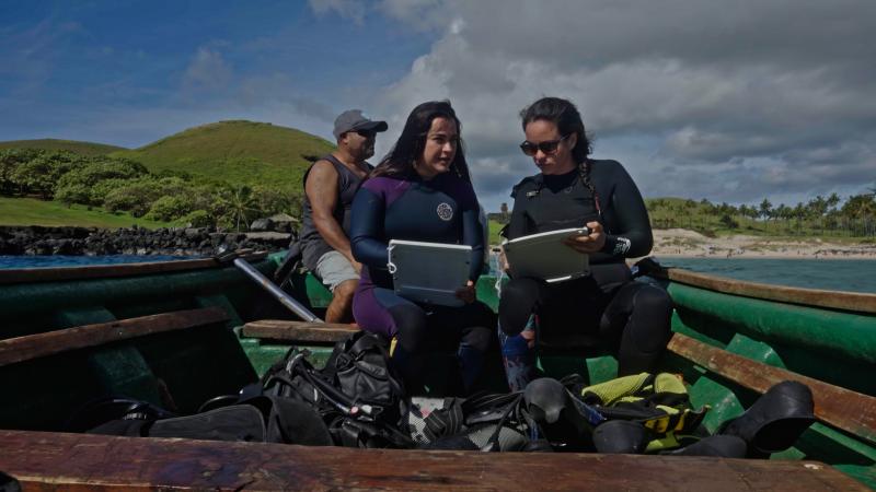 Documental "¿Dónde descansan las tortugas de Rapa Nui?"