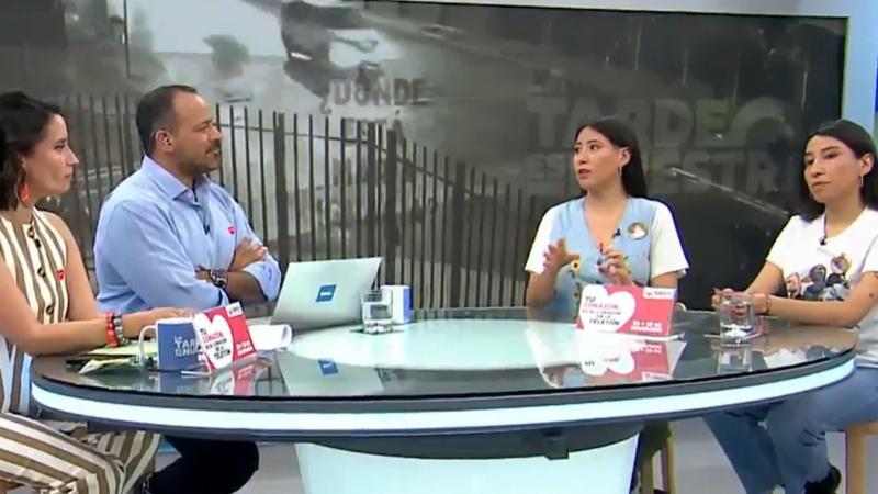 Concejala de Villa Alegre: hijas entregan teorías.