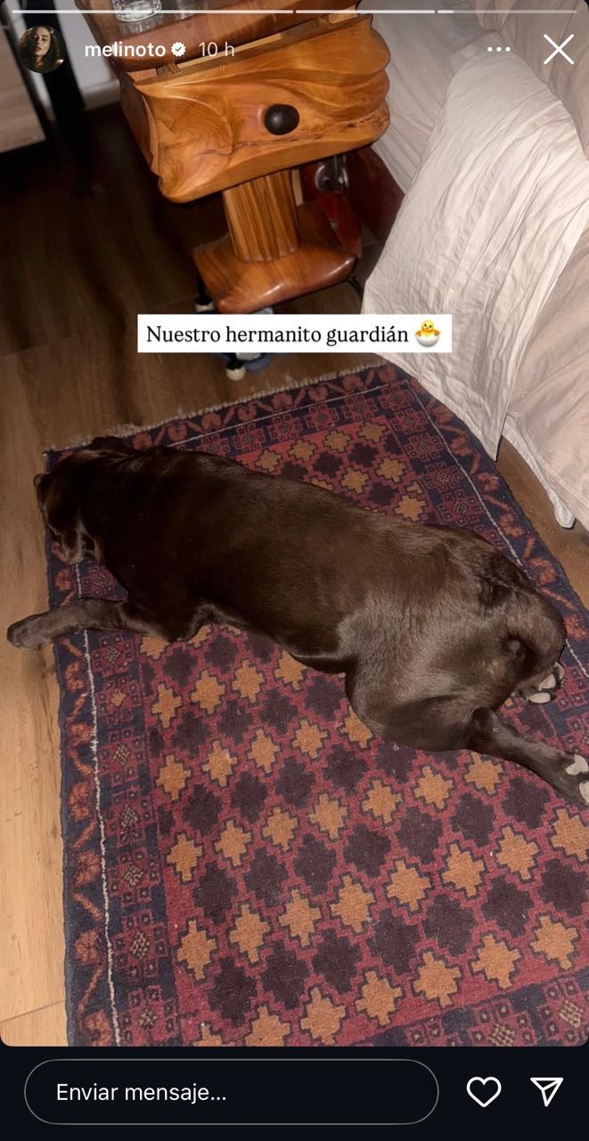 Historia de Melina Noto - Instagram