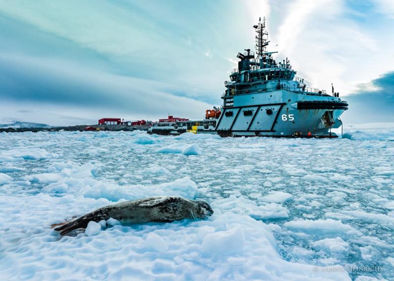 Foto de la nadadora Barbara Hernández, Récord Guinness por el nado más extenso realizado por una persona en el mundo en Antártica (2.5k) y otro, es el más extenso a nivel polar (considerando el Ártico).