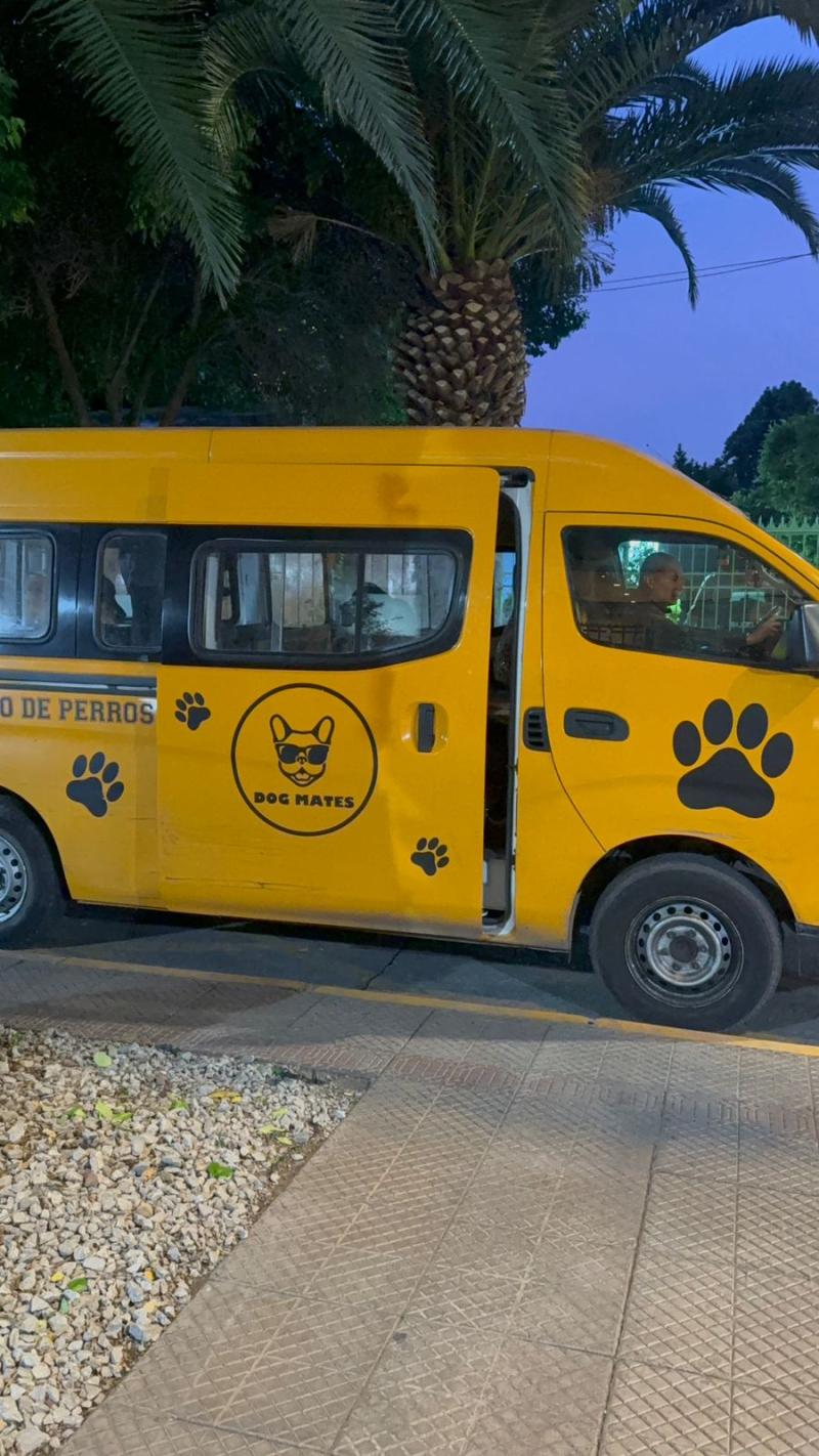 Furgón que recoge diariamente a 'Dianita' - Cedida