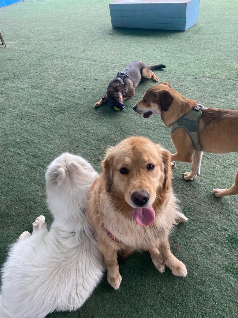 Dianita junto a sus compañeros en la guardería - Cedida