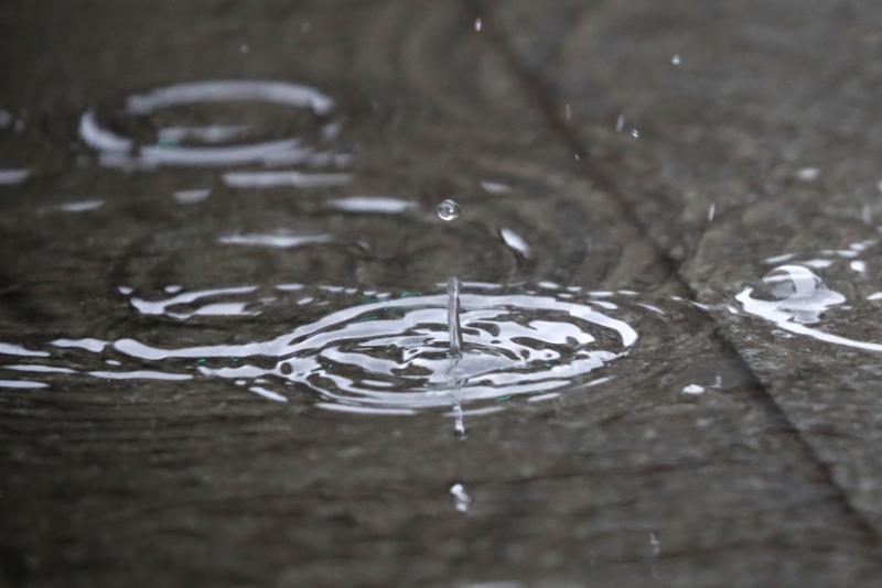 Michelle Adam anuncia lluvias para la capital.