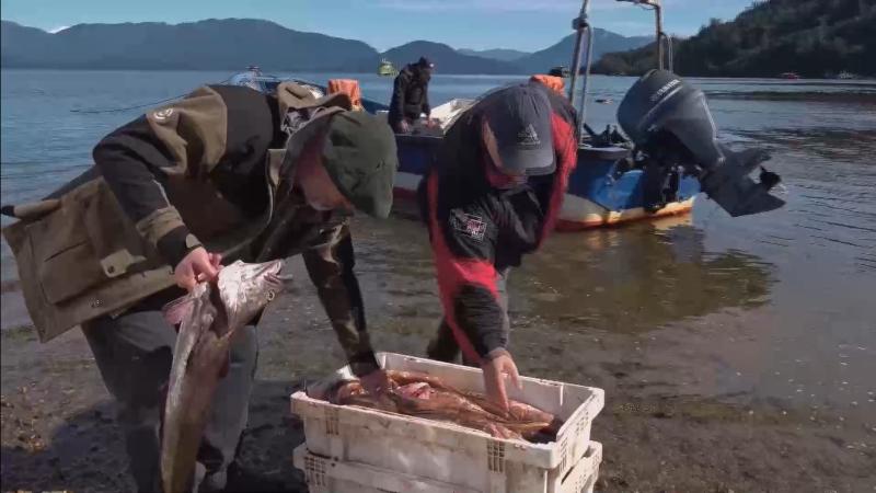 Recomiendo Chile - Canal 13