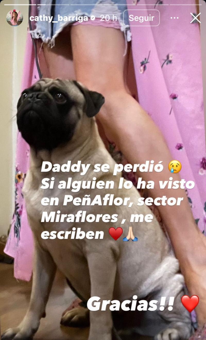 El perrito de Cathy Barriga