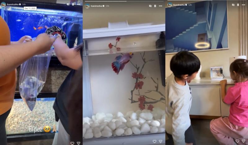 Lisandra Silva | Instagram