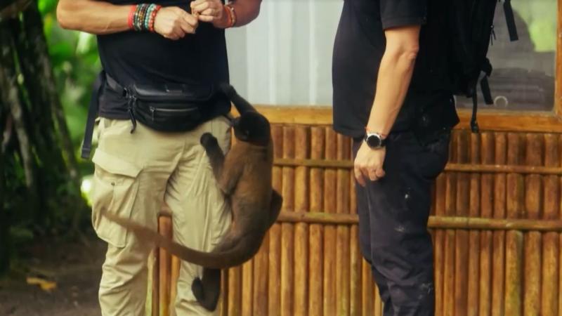 Pancho Saavedra y el mono ladrón