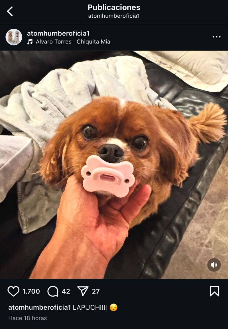 Alexis Sánchez presentó a la mascota de su pareja - Instagram