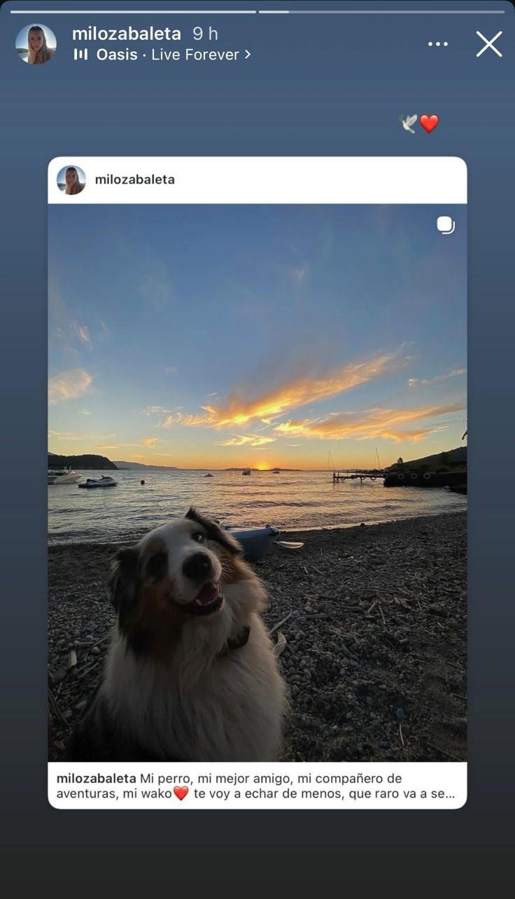 Milo Zabaleta lamentó triste pérdida - Instagram