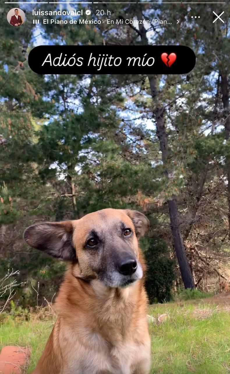 Luis Sandoval - Instagram