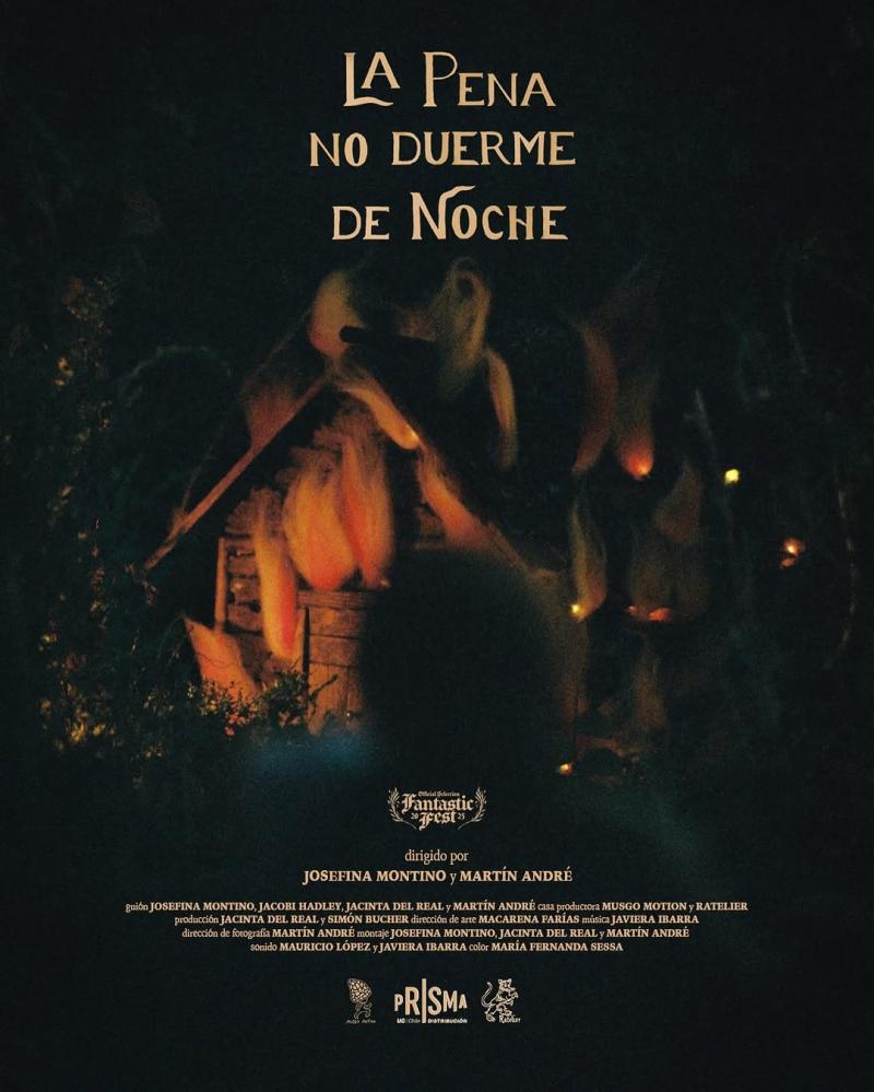 Afiche de "La pena no duerme de noche". Créditos: Instagram.