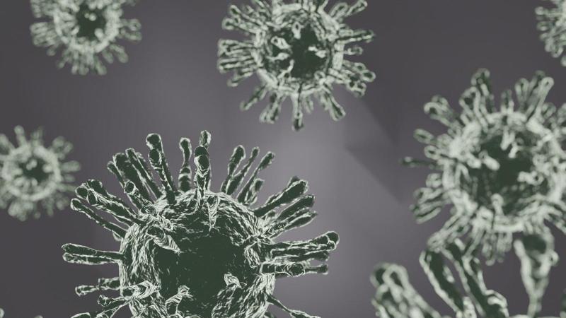 Referencia | Pixabay