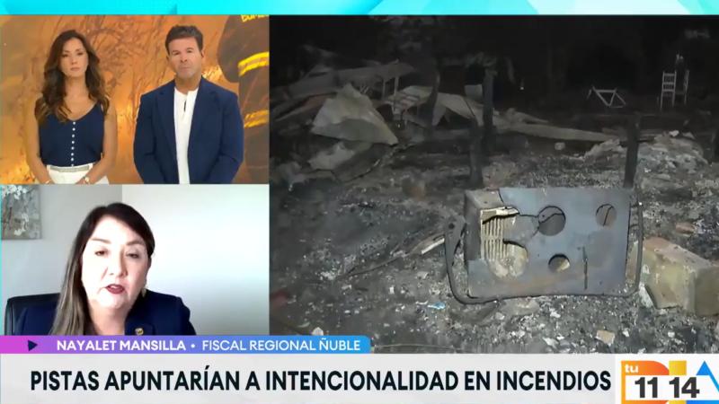 Nayalet Mansilla, Fiscal Regional de Ñuble