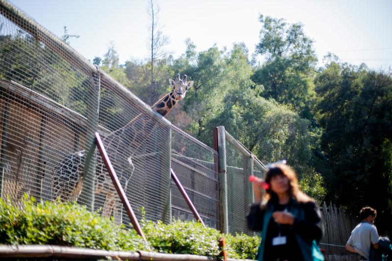 Zoológico Metropolitano reabrió sus puertas GRATIS - Agencia Uno