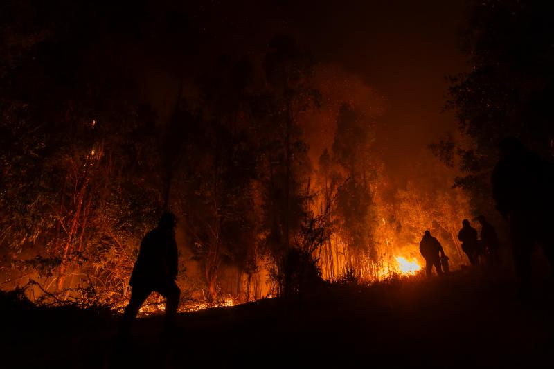 Incendios forestales: detienen a pirómano en Perquenco.