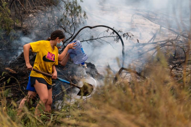 Cientos de damnificados y animales perdidos tras incendios forestales.