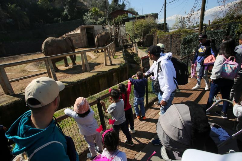 Zoológico Metropolitano reabre sus puertas - Aton