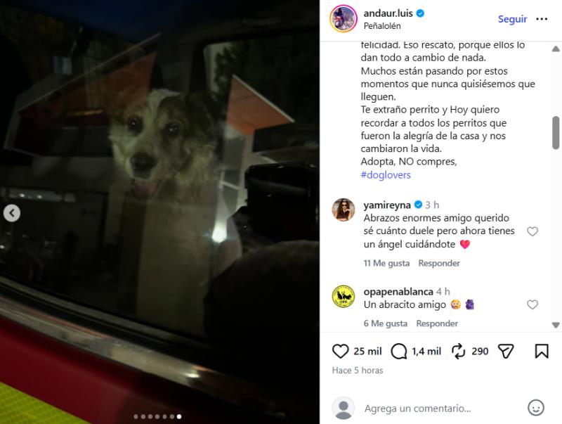 Luis Andaur despidió a su mascota - Instagram