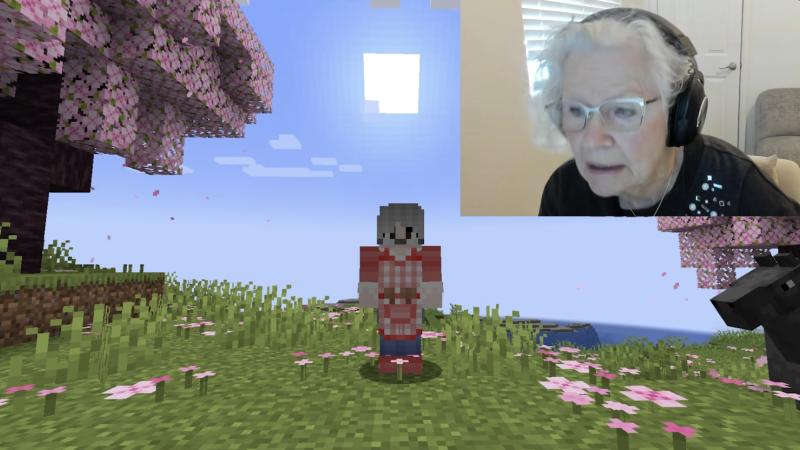 Abuela de 81 años se crea cuenta de Minecraft para salvar a su nieto.