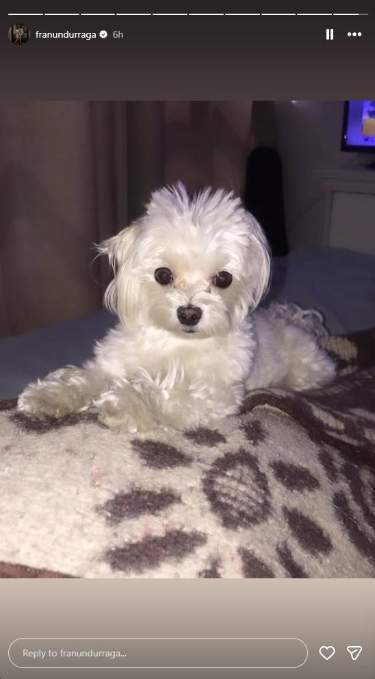 Fran Undurraga da a conocer la muerte de su mascota | Instagram