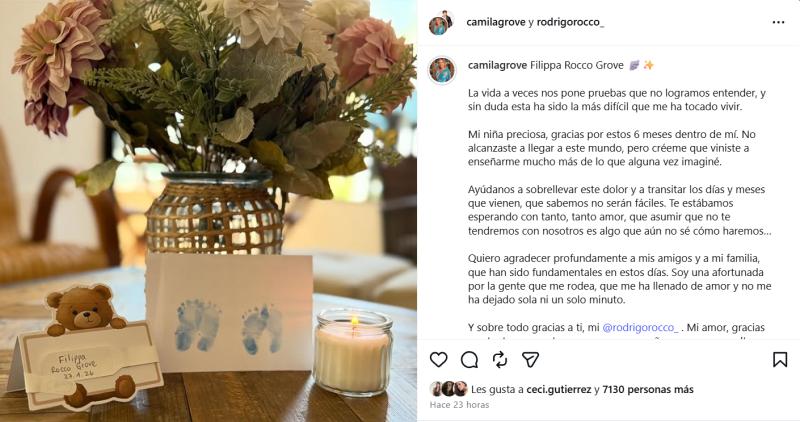 Camila Grove compartió conmovedora publicación anunciando su pérdida - Instagram