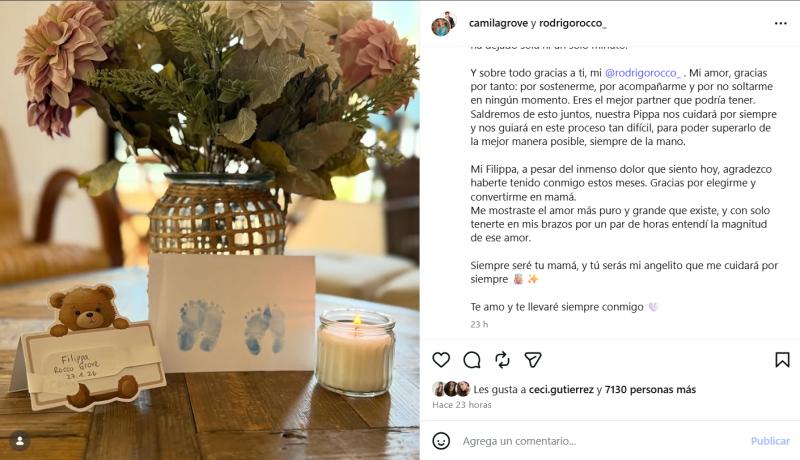 Camila Grove compartió conmovedora publicación anunciando su pérdida - Instagram