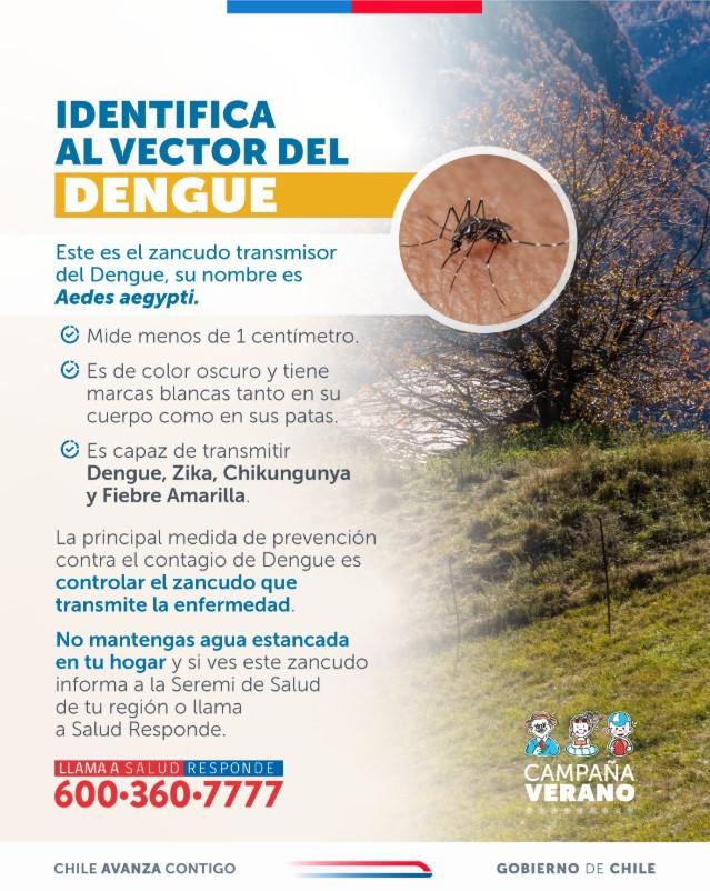 Conoce cómo reconocer al mosquito del Dengue