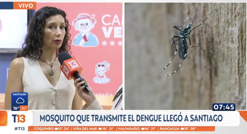 Bárbara Hott, jefa de la oficina de Zoonosis y Vectores del Ministerio de Salud, habla sobre el dengue.