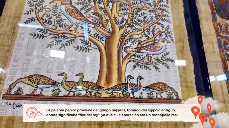 El viaje de mi vida - Canal 13