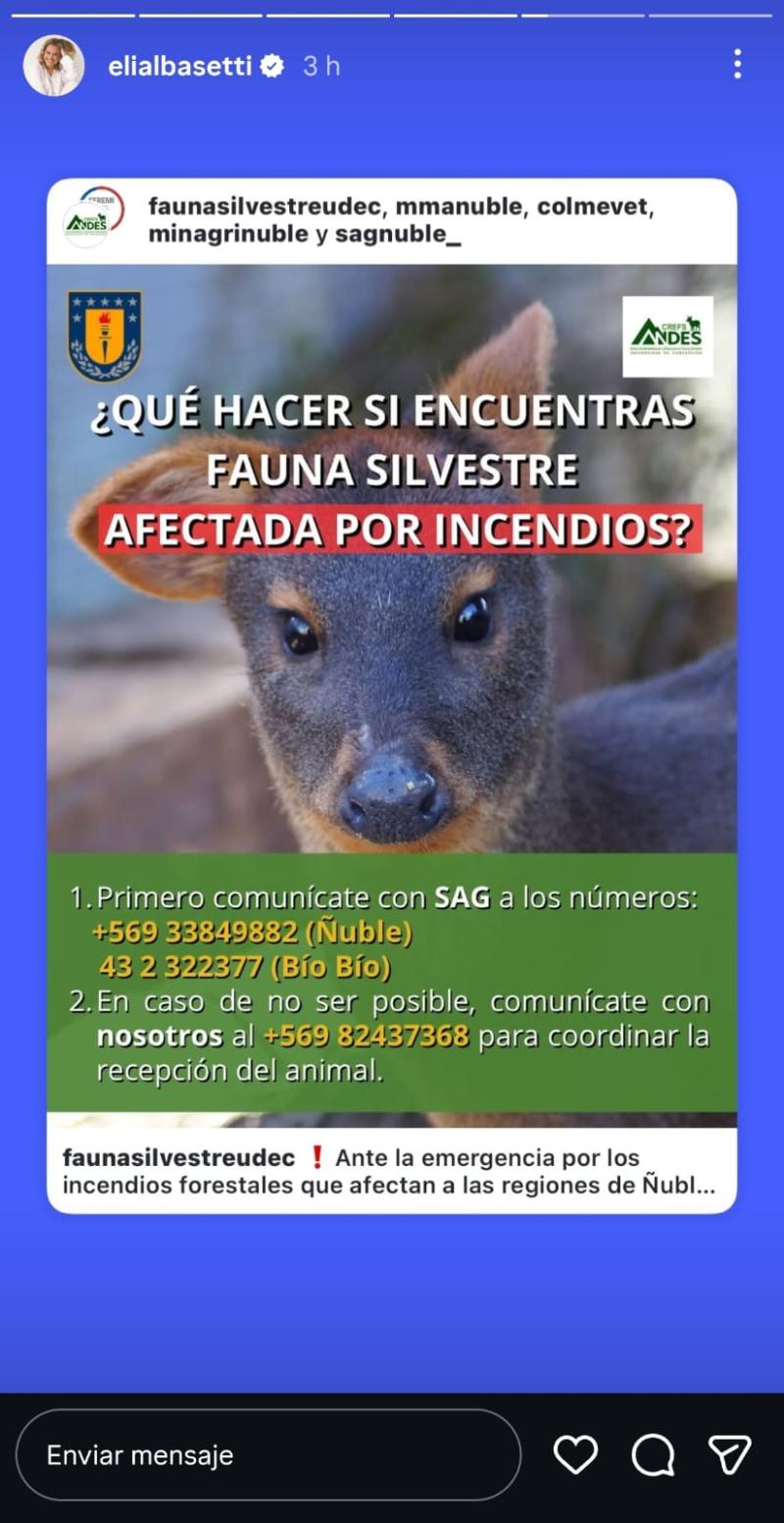 Eliana Albasetti - Instagram