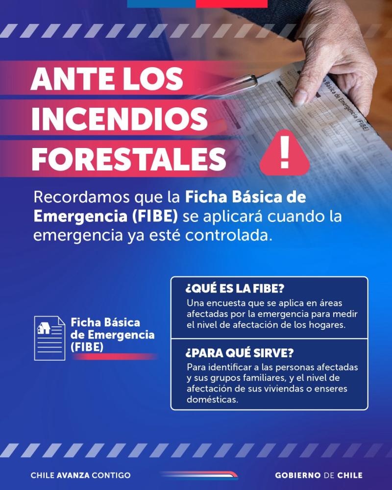 Revisa todos los detalles de la ficha FIBE - Ministerio de Desarrollo Social y Familia