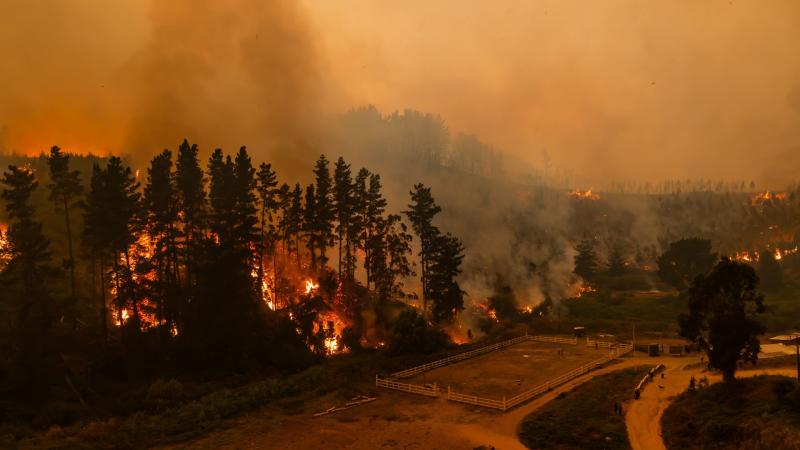 Unidos por Ñuble y Biobío