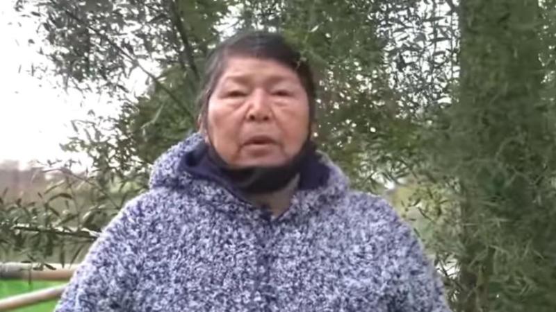 El caso de Julia Chuñil