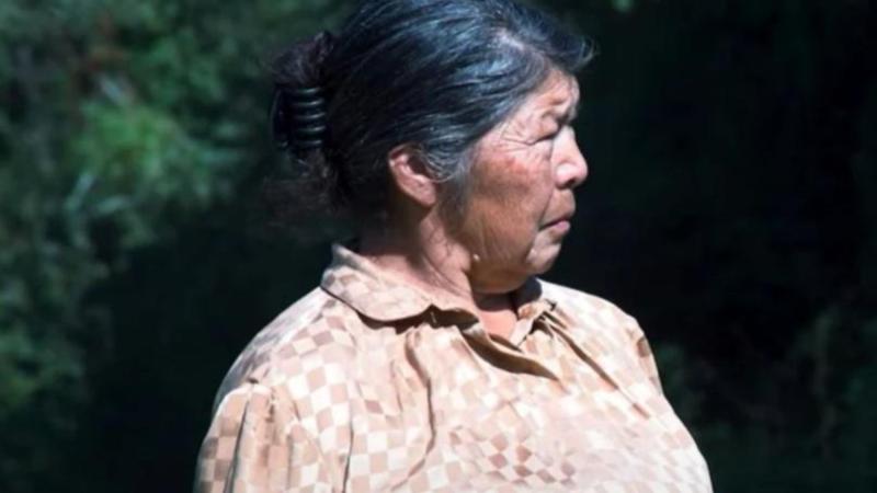 El caso de Julia Chuñil